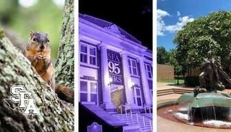 Stephen F Austin State University On Calling All Sfa