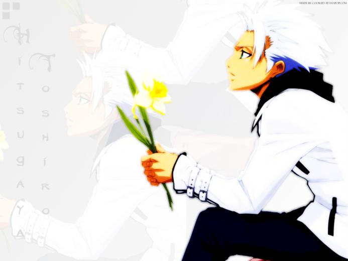 Bleach Anime Image Toshiro Hitsugaya Wallpaper Photos