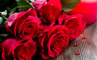 Red Rose Desktop Wallpaper HD