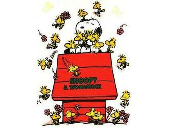 Snoopy Wallpaper Photos Gang Charlie Brown