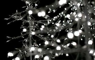Wallpaper Black White And