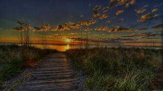 Summer Sunset Wallpaper