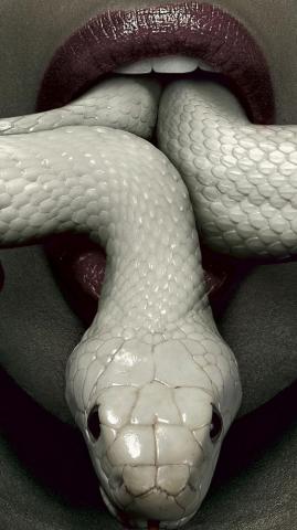 Tv Show American Horror Story Coven