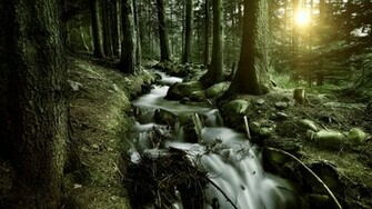 Waterfall HD Wallpaper
