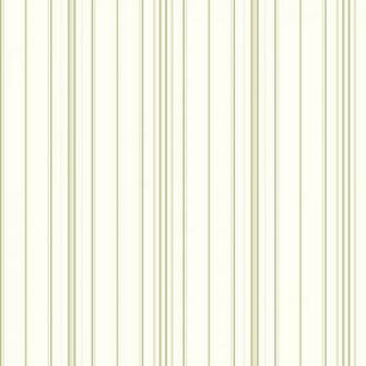 Ashford House Blooms Wide Pinstripe Wallpaper Border