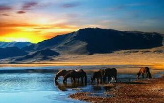 Horse Sunset Beach Water Herd Crab Mountain Drinking HD