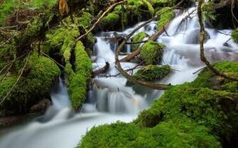 Desktop Background Chillcover Real Tropical Waterfalls