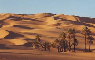 Sahara Wallpaper