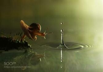 500px Rare Image Of The World Unseen