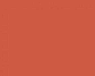 Coral Solid Color Background And The Below