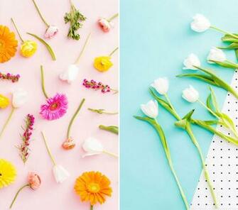 Brand New Desktop And Smartphone Wallpaper For Spring Brit Co