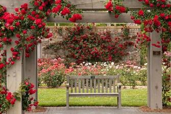 Rose Garden Wallpaper