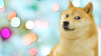 Doge Meme Wallpaper