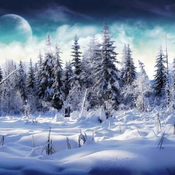 Winter iPad Wallpaper