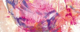 Pink Elephant By Kp Shadowsquirrel