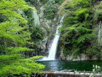 Japanese Nature Wallpaper