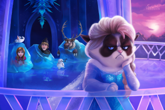 Grumpy Cat HD Wallpaper