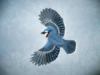 Cool Wallpaper Blue Jay