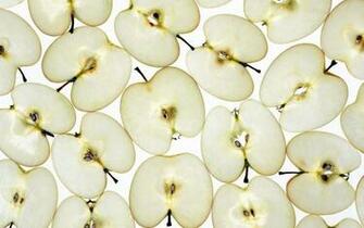 Apple Fruit