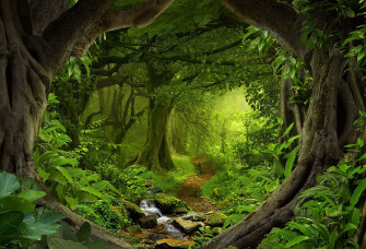 Fairy Forest Background Wallpaper