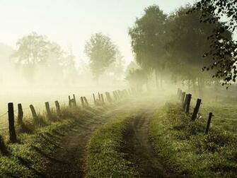 Palkar At Pm Labels Misty Morning Wallpaper