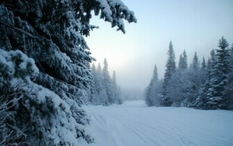 Winter Landscapes Wallpaper Nature HD Desktop