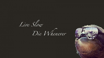 All Of Those Other Sloth Wallpaper Are Too Busy I