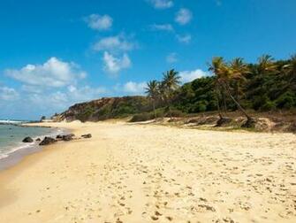 Wallpaper Background Beach Landscape HD