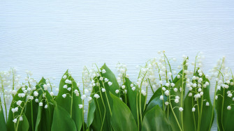 Lily Of The Valley Desktop Wallpaper