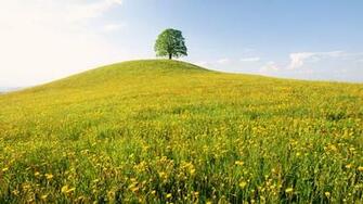 Spring Switzerland Wallpaper