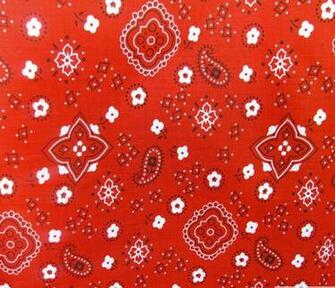 Red Paisley Bandana Image