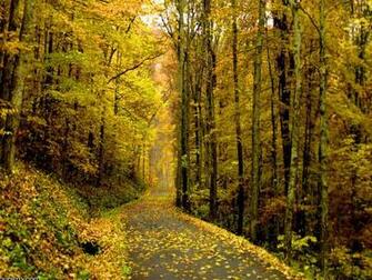 Source Url Mywallpaper Org Gallery Autumn