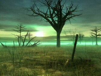 My Wallpaper Fantasy Sick Swamp
