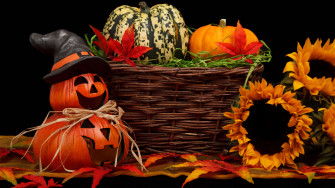 Halloween Fall Sunflower Pumpkin Picture Wallpaper