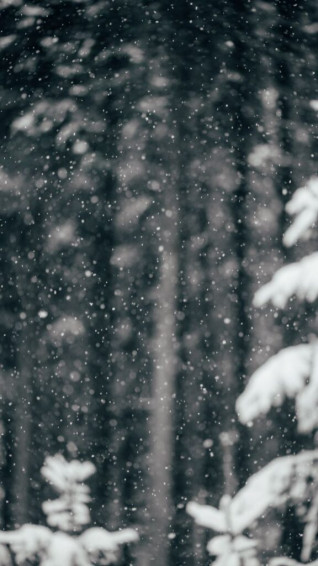 Gorgeous Winter Wallpaper For iPhone
