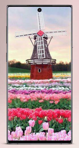 Wallpaper Bunga Cantik Offline For Android Apk