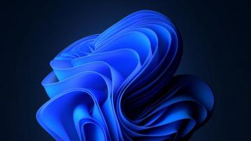 Windows Blossoms With Bloom A New Symbol For