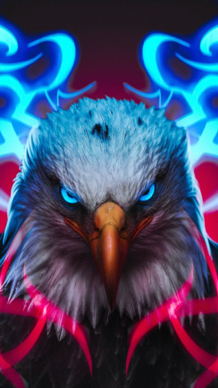 Cool iPhone Wallpaper Eagle Image