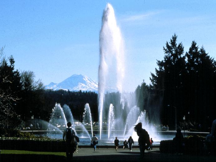 University Of Washington Photos