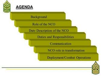 Role Of The Noncommissioned Officer Background Agenda