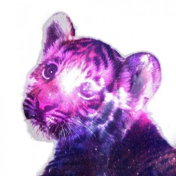 Galaxy Tiger Wallpaper On