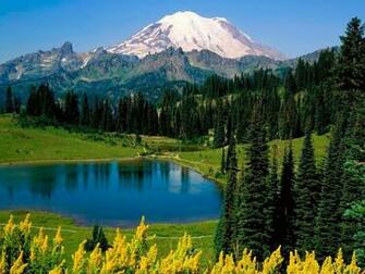 National Park Washington State Forests Landscapes Wallpaper