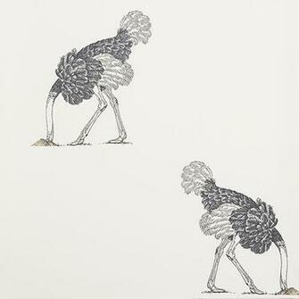 Ostrich Beware The Moon Skulls Wallpaper Made In England