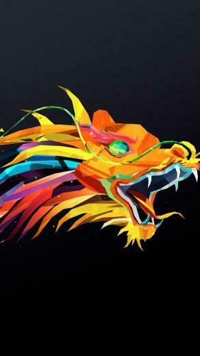 The Dragon HD Wallpaper For Droid Razr HDwallpaper Net