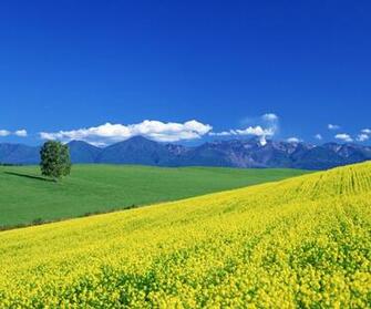 Japan Scenery Wallpaper Weddingdressin