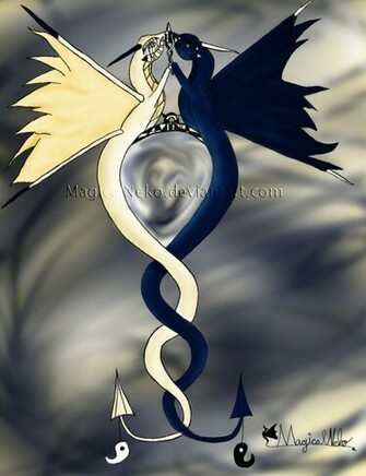 Yin Yang Dragon Wallpaper
