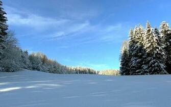 Widescreen Winter Snow Scenery Dreamy Wallpaper