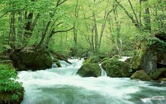 Youwall Forest River Wallpaper