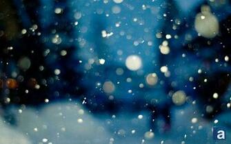 Real Snowflakes Falling Wallpaper Of Snow