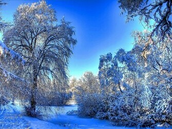 Cute Winter Landscape